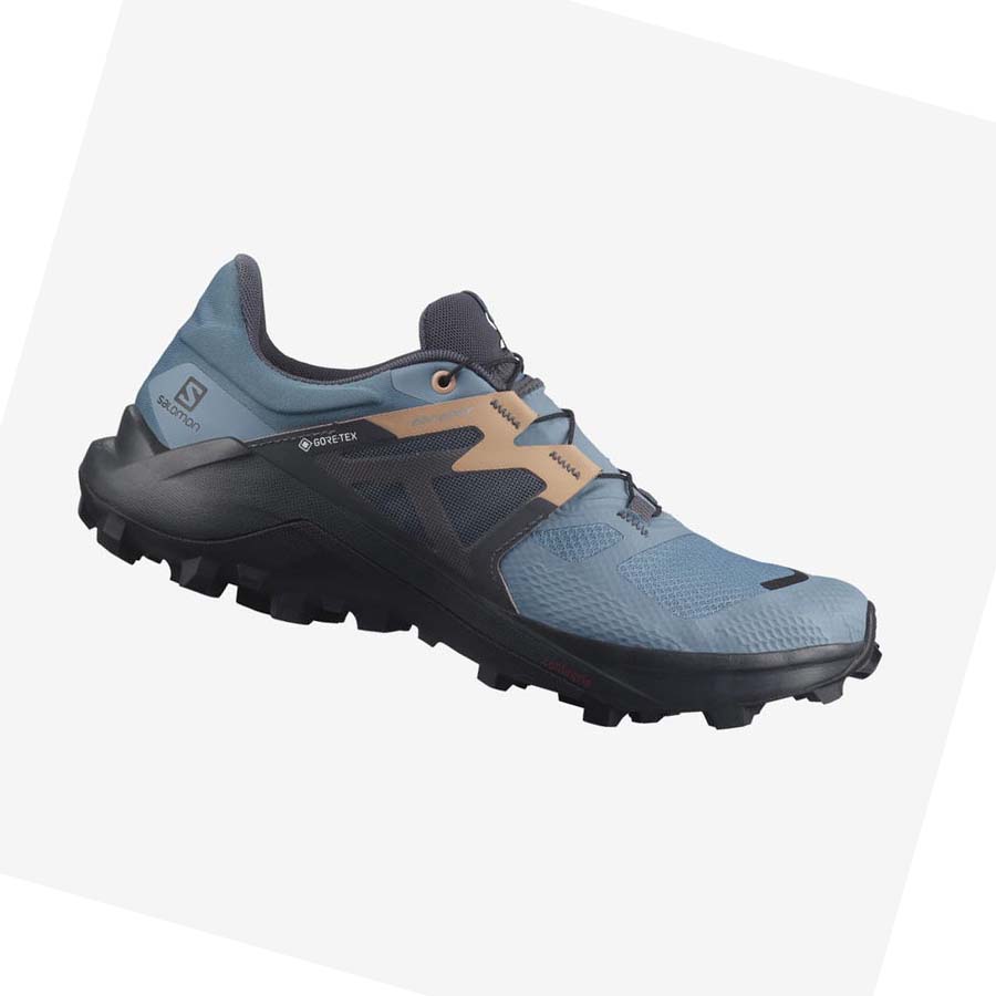 Tenis Para Trail Running Salomon WILDCROSS 2 GORE-TEX Mujer Azules | MX 2769AHK